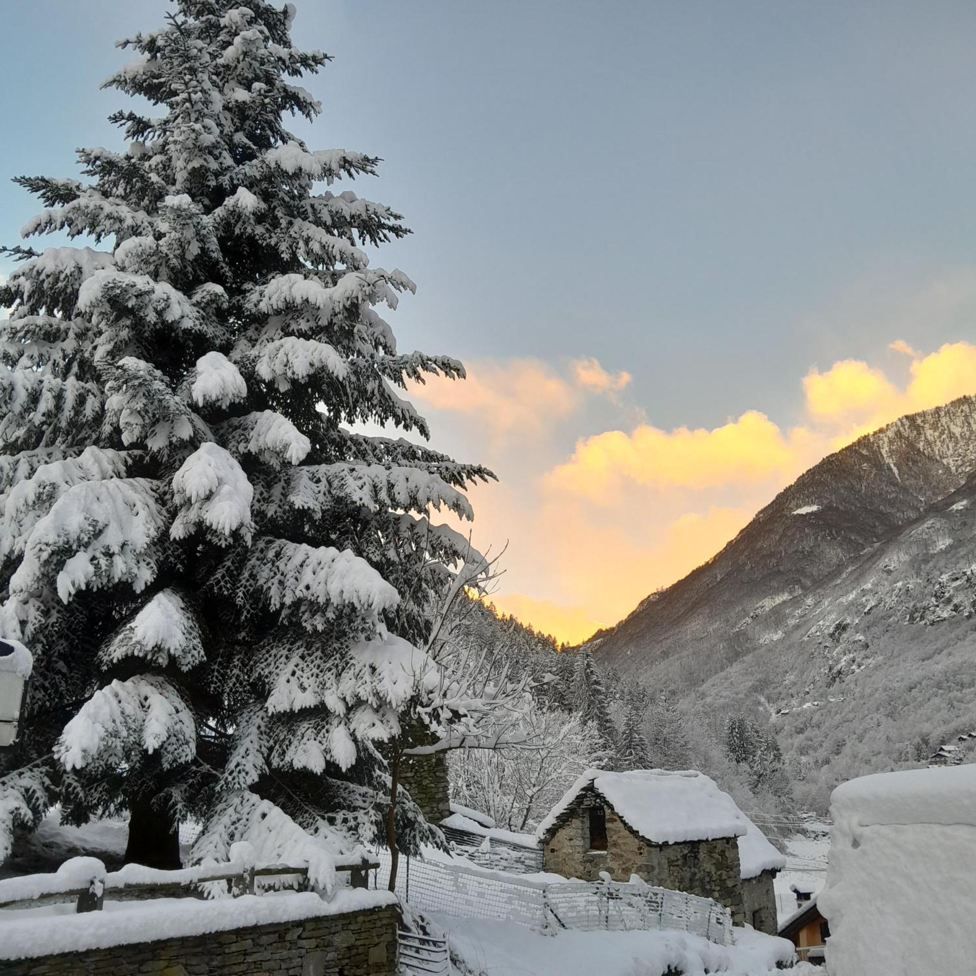 Casa All'Alpe Anzino Exteriör bild